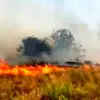 Malatya’da Bahçede Yangın Çıktı