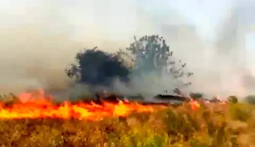 Malatya’da Bahçede Yangın Çıktı